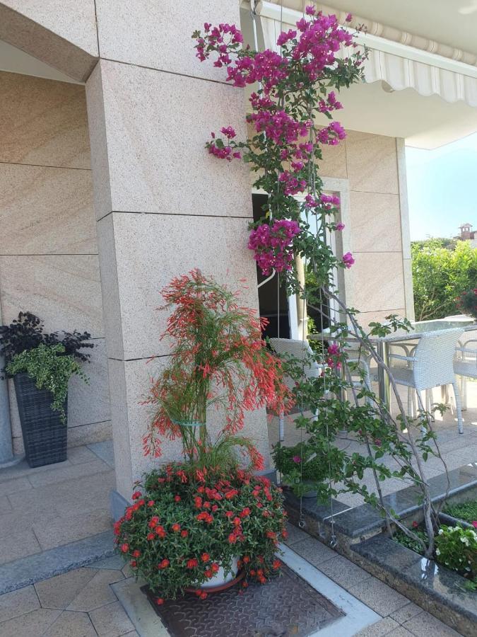 Villa Maric Baška Voda Zewnętrze zdjęcie