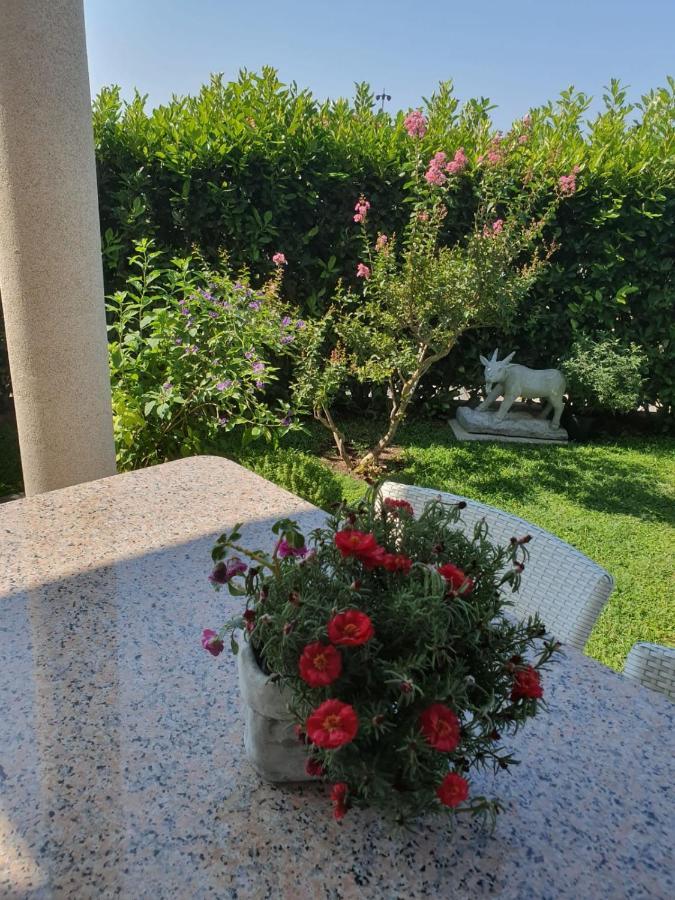 Villa Maric Baška Voda Zewnętrze zdjęcie